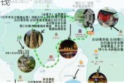 嵩山少林寺一日游攻略自驾-嵩山少林寺旅游门票多少钱