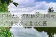 广州大沙河湿地公园图片_广州大沙河湿地公园