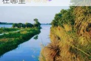 增城鹤之洲湿地公园可以钓鱼吗_鹤之洲湿地公园在哪里