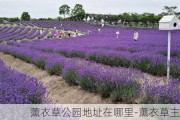 薰衣草公园地址在哪里-薰衣草主题公园