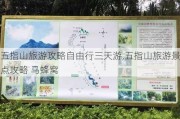 五指山旅游攻略自由行三天游,五指山旅游景点攻略 马蜂窝