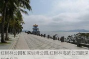 红树林公园和深圳湾公园,红树林海滨公园跟深圳湾公园