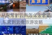 从东营到云南怎么去合适,东营到云南旅游攻略