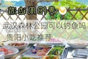 武汉森林公园可以钓鱼吗_贵阳小吃推荐