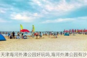 天津海河外滩公园好玩吗,海河外滩公园有沙滩吗