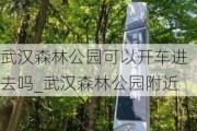 武汉森林公园可以开车进去吗_武汉森林公园附近