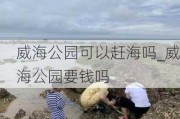 威海公园可以赶海吗_威海公园要钱吗