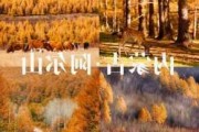 十一阿尔山怎么样,十月一阿尔山旅游攻略