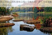 新江湾城公园和湿地公园一个地方吗?_新江湾城湿地公园玩什么