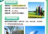 奥林匹克森林公园塔-奥林匹克森林公园塔门票多少钱