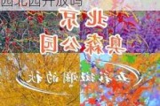 奥林匹克森林公园北园开放时间_奥林匹克森林公园北园开放吗