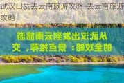 武汉出发去云南旅游攻略-去云南旅游攻略