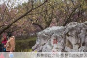 梅林公园介绍-梅林公园风景区