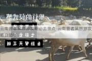 云南普者黑旅游攻略必去景点-云南普者黑旅游攻略自助餐