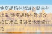 金塔胡杨林旅游攻略兰州出发-金塔胡杨林景区介绍甘肃金塔胡杨林景点介绍