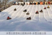 冰雪公园湿地公园滑冰场-冰雪主题公园