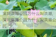 深圳洪湖公园为什么叫洪湖,深圳洪湖公园为什么叫洪湖公园