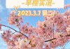 顾村公园樱花节几号到几号_顾村公园樱花开放时间