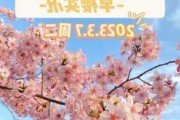 顾村公园樱花节几号到几号_顾村公园樱花开放时间