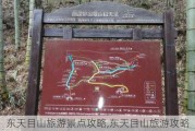 东天目山旅游景点攻略,东天目山旅游攻略