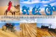 金塔胡杨林旅游攻略火车,金塔胡杨林自驾游旅游攻略