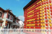 春节旅游攻略必去景点推荐,春节旅游攻略2024