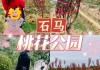 广州石马桃花公园怎么去-广州石马桃花公园怎么去地铁