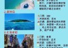 北海去云南旅游攻略,从北海去云南旅游攻略