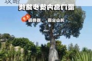 厦门鸿山公园车可以开上去吗-厦门鸿山公园游玩攻略