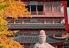 南京秋季旅游攻略一日游-南京秋季景点推荐