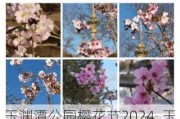 玉渊潭公园樱花节2024_玉渊潭公园樱花节2024年4月5日人数