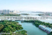 五缘湾湿地公园-五缘湾湿地公园图片