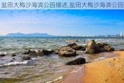 盐田大梅沙海滨公园描述,盐田大梅沙海滨公园