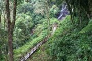 天台山旅游攻略重庆-天台山景区景点