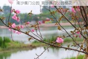 南沙蕉门公园_南沙蕉门公园樱花