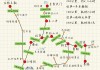 拉萨到林芝旅游攻略详解,拉萨到林芝旅游攻略游攻略