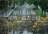 荔香公园可以放风筝吗,荔香公园可以跑步吗