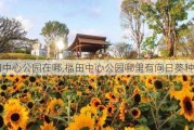 福田中心公园在哪,福田中心公园哪里有向日葵种植