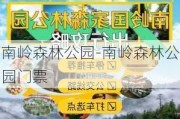 南岭森林公园-南岭森林公园门票