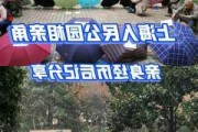 上海人民公园相亲角潜规则,上海人民公园的相亲角