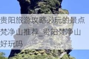 贵阳旅游攻略必玩的景点梵净山推荐_贵阳梵净山好玩吗