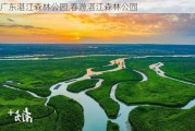 广东湛江森林公园,春游湛江森林公园