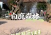 白鹿公园旅游攻略,白鹿森林公园要门票吗