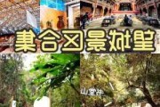 旅游景点周边发展产业有哪些_旅游景点推荐周边