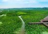 微山湖旅游区要门票吗-微山湖旅游攻略学生可以去吗