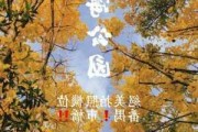 广州星海公园观后感,广州星海公园要门票吗