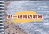 惠州双月湾旅游攻略自由行攻略-双月湾旅游攻略自由行攻略