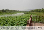 渭河湿地公园-渭河湿地公园在哪里坐什么车去