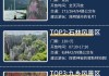 去昆明旅游攻略及费用_去昆明旅游攻略大全