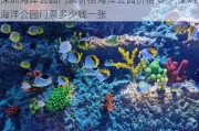 深圳海洋公园门票价格海洋公园价格多少,深圳海洋公园门票多少钱一张